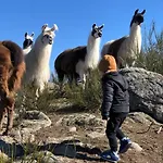 Lama-gite-des-puys Ecologique A 30km Des Pistes, Visite Aux Lamas Charge Ve بيت للعطل Montaigut-le-Blanc (Puy-de-Dome)