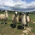 Lama-gite-des-puys Ecologique A 30km Des Pistes, Visite Aux Lamas Charge Ve 펜션 *