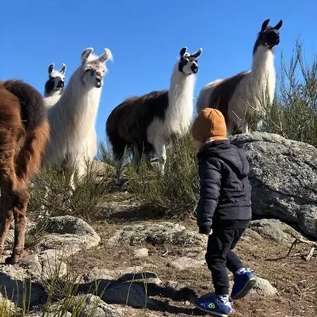 Lama-gite-des-puys Ecologique A 30km Des Pistes, Visite Aux Lamas Charge Ve Tatil Evi Montaigut-le-Blanc (Puy-de-Dome)