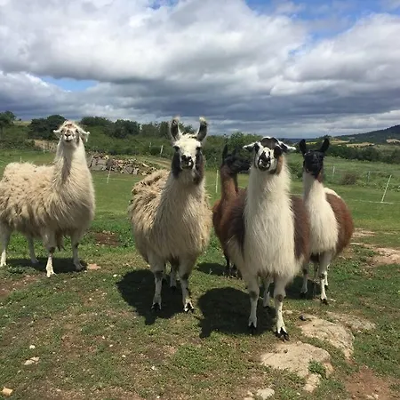 Lama-gite-des-puys Ecologique A 30km Des Pistes, Visite Aux Lamas Charge Ve بيت للعطل *