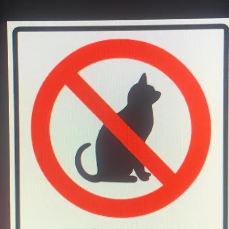 Lama-gîte-des-puys écologique à 30km Des Pistes, Visite Aux Lamas Charge Ve * Montaigut-le-Blanc (Puy-de-Dome)