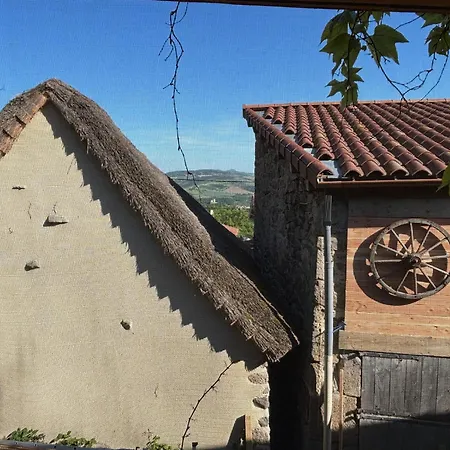 Lama-gite-des-puys Ecologique A 30km Des Pistes, Visite Aux Lamas Charge Ve * Montaigut-le-Blanc (Puy-de-Dome)