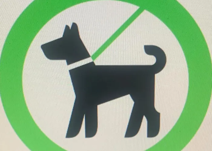 Casa de Férias Lama-gîte-des-puys écologique à 30km Des Pistes, Visite Aux Lamas Charge Ve Montaigut-le-Blanc (Puy-de-Dome)