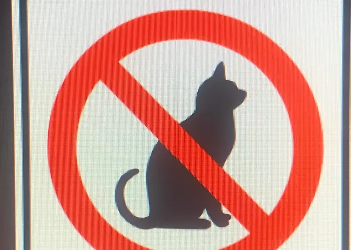 Lama-gîte-des-puys écologique à 30km Des Pistes, Visite Aux Lamas Charge Ve * Montaigut-le-Blanc (Puy-de-Dome)